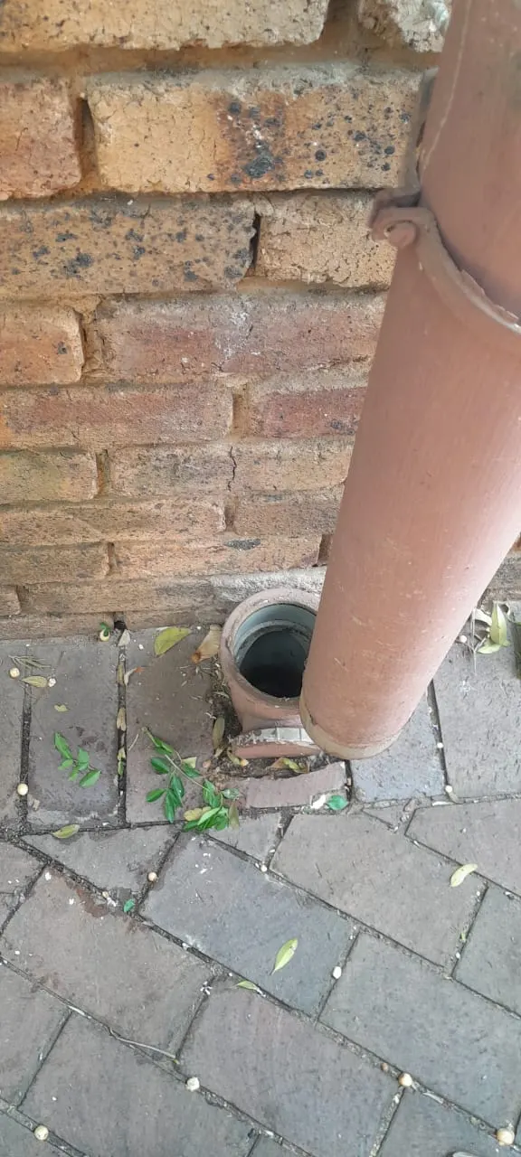 Blocked drain cleaning in Akasia Blocked drain cleaning in Akasia – cleared blockage (24/7)