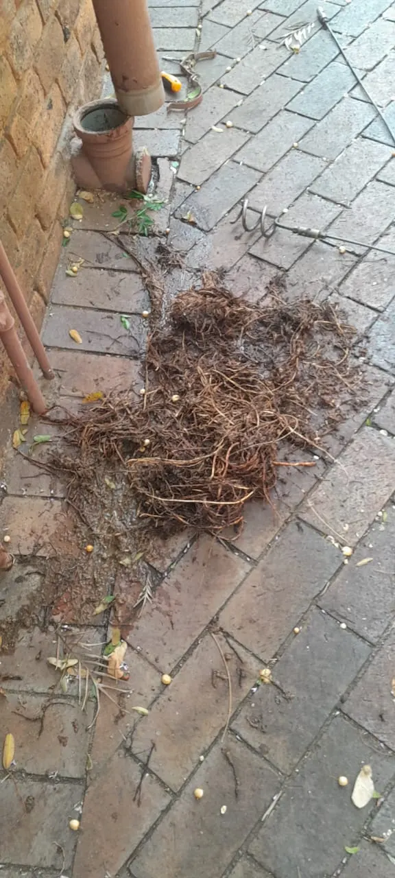 Emergency drain unblocking in Garsfontein – pricing & 24/7 call-out