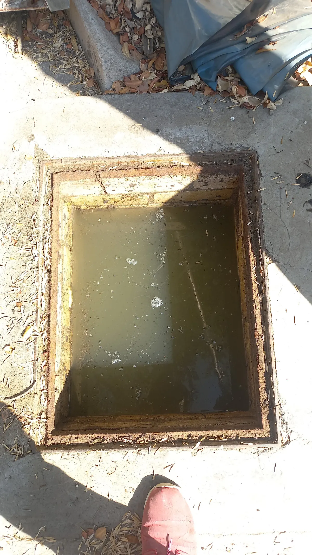 Blocked drain cleaning in Halfway Gardens Blocked drain cleaning in Halfway Gardens – real blockage cleared