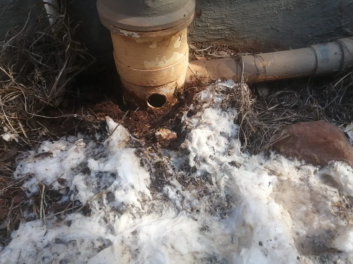 Blocked drain cleaning in Irene – real blockage cleared