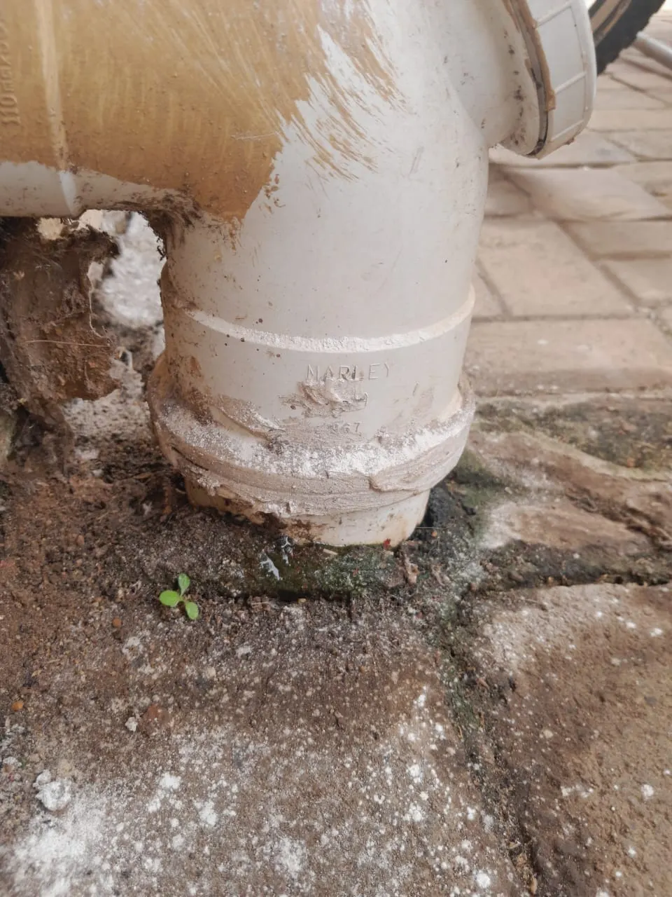Blocked drain cleaning in Linden – real blockage cleared