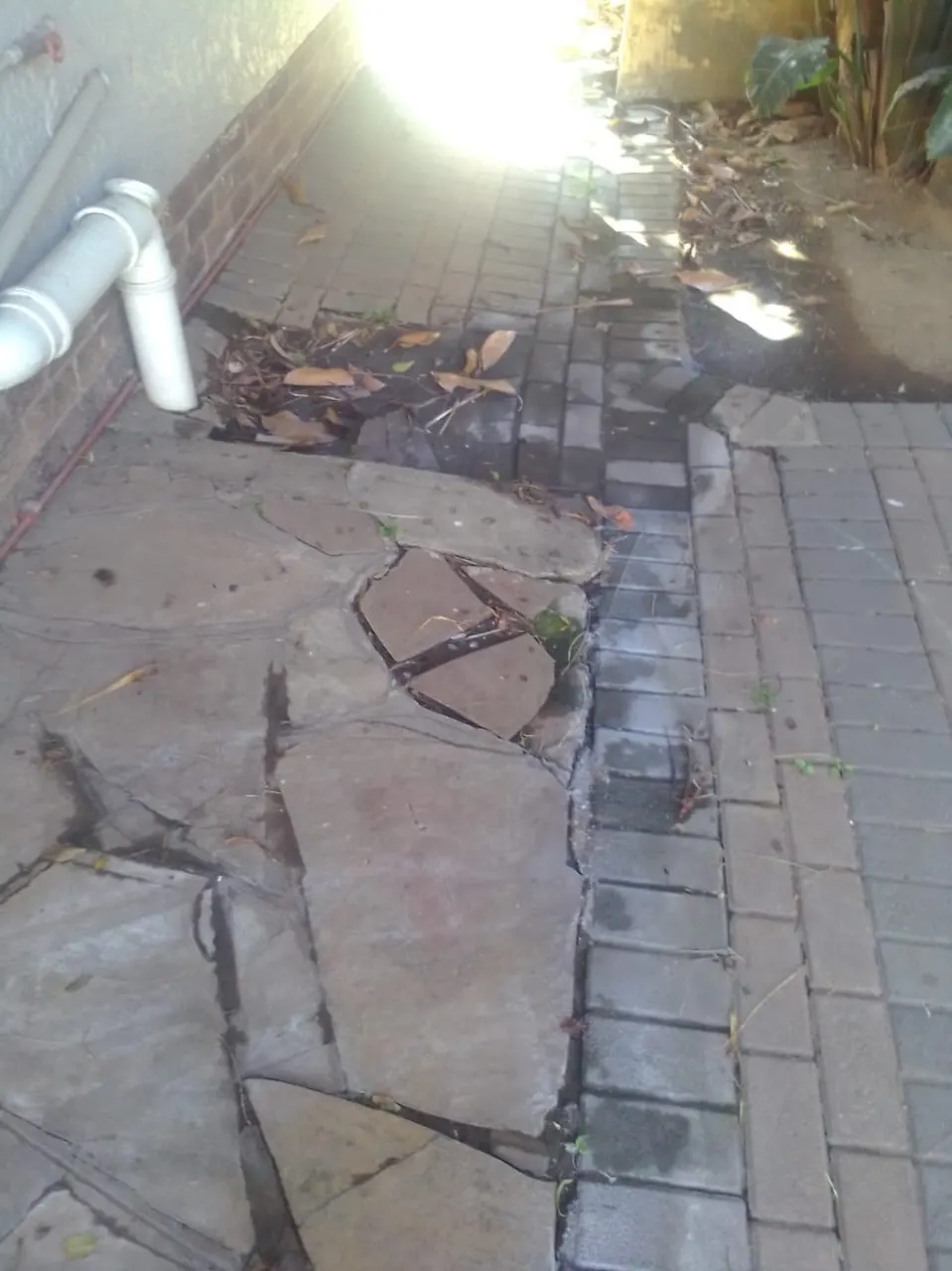 Blocked drain cleaning in Lyttelton Blocked drain cleaning in Lyttelton – real blockage cleared