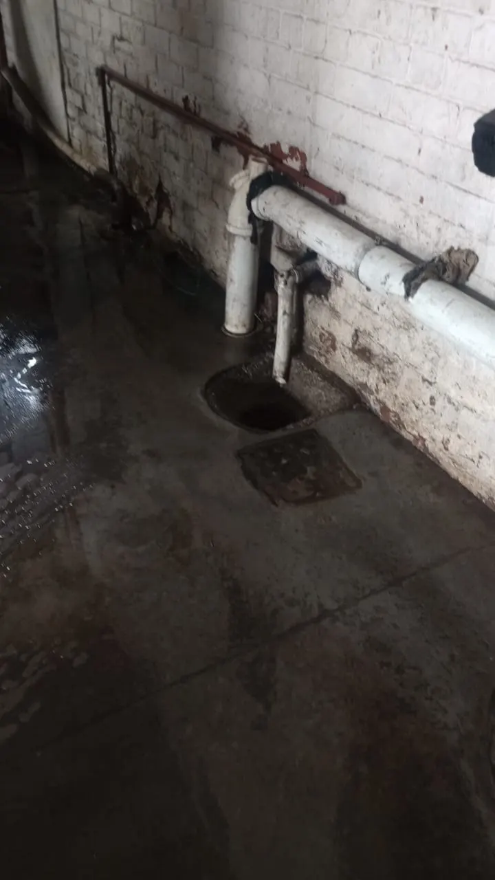 Blocked drain cleaning in Newlands – severe blockage removed