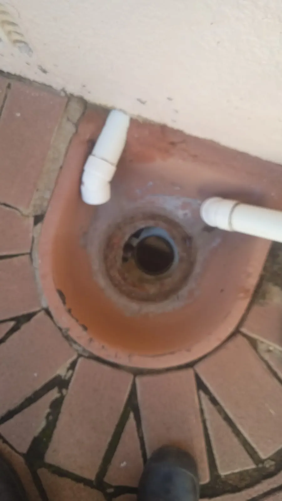Same-day drain unblocking in Olivedale