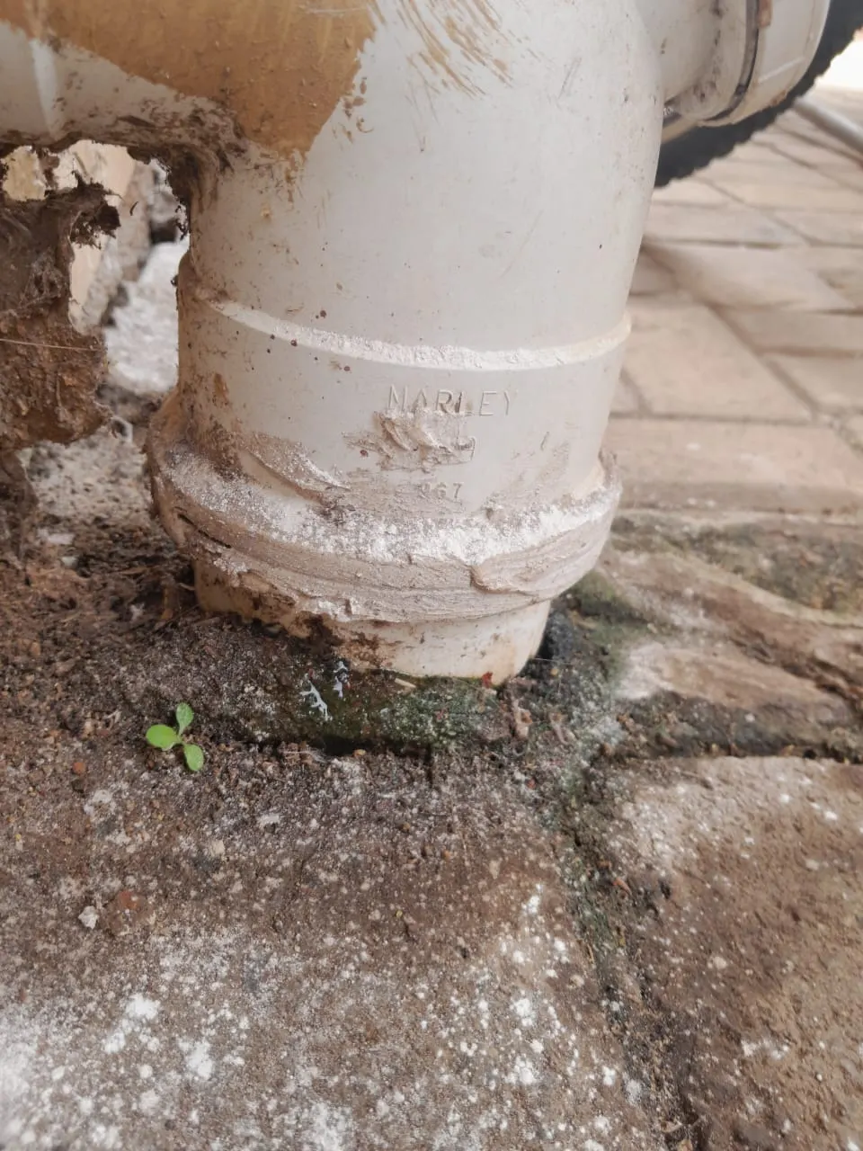 Blocked drain cleaning in Olivedale – severe blockage removed
